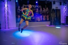 133-DSC_4719