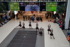 94-DSC_1384