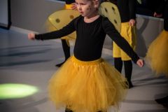 19-DSC_9254