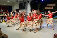 Kinderfasching_2026_0226